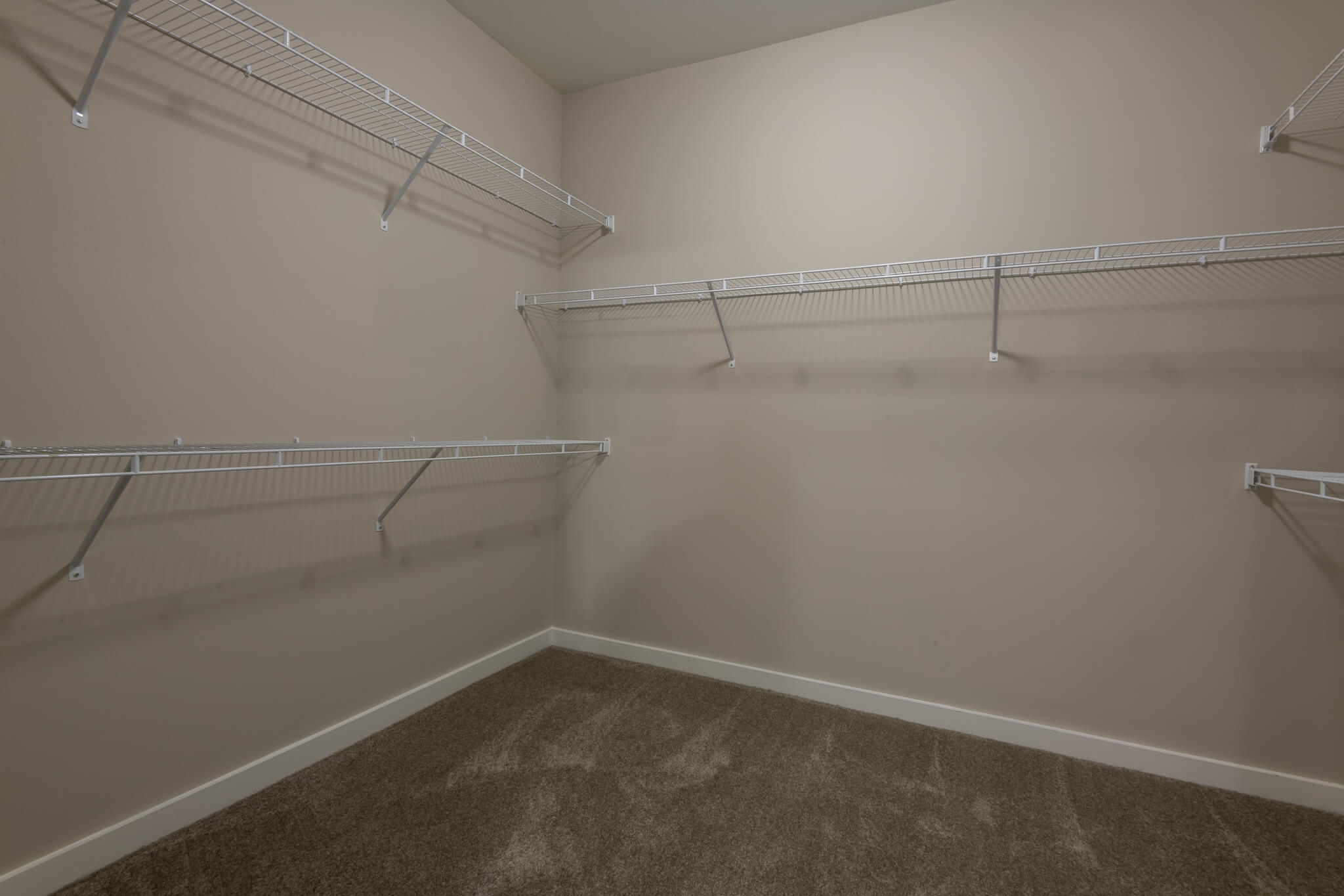 Gallery compressed 8745